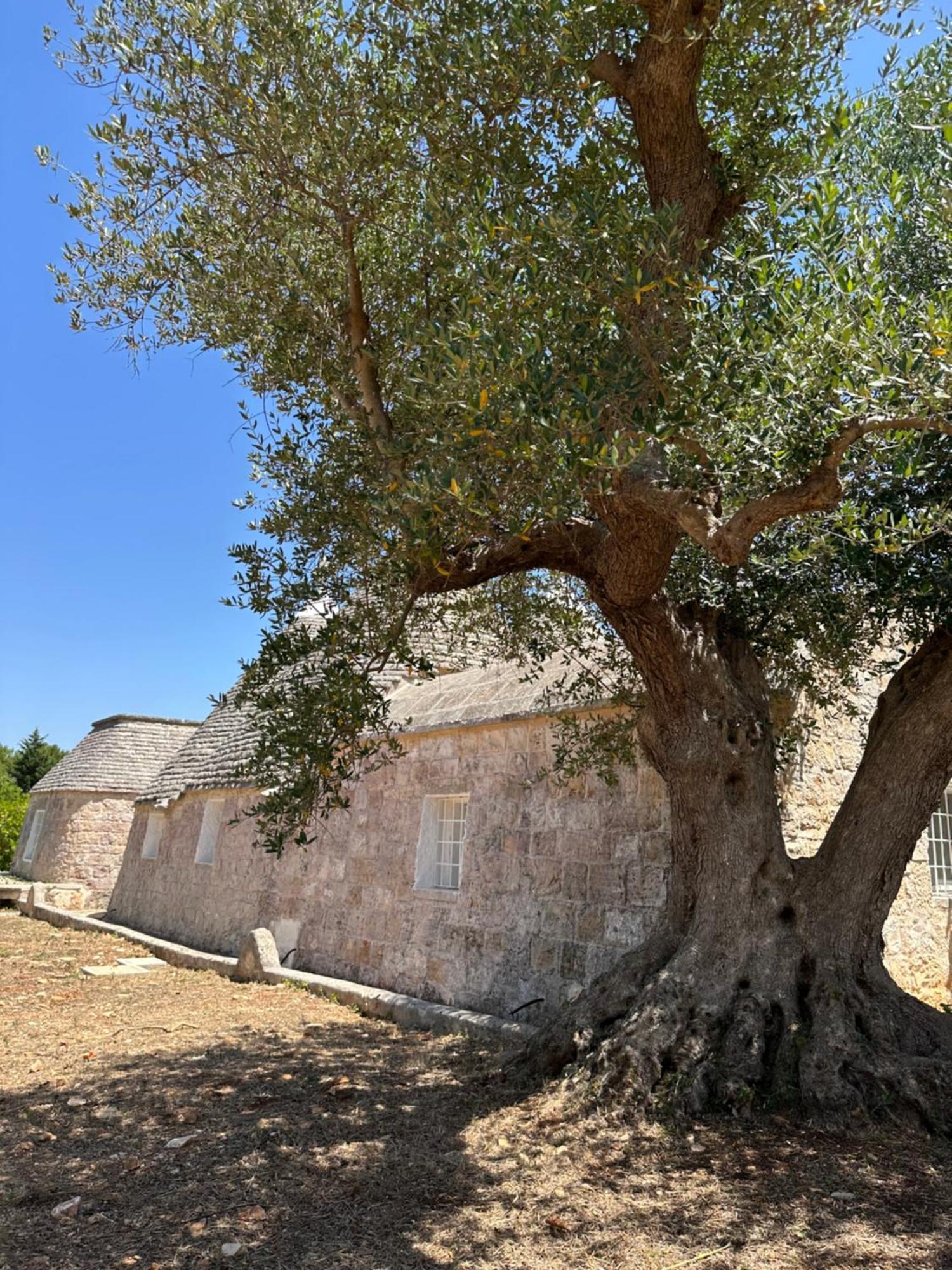 Trullo Claf Vila Ostuni Exterior foto